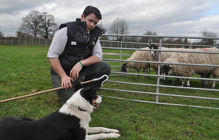 Reaseheath agriculture lecturer Dan Henderson and his sheepdog Floss demonstrate sheep penning