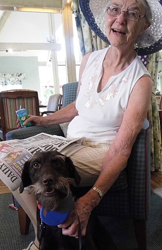 Dog - Richmond Nantwich resident Barbara Hughes with Cookie