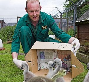 Rob Scrivens 25 years RSPCA stapeley