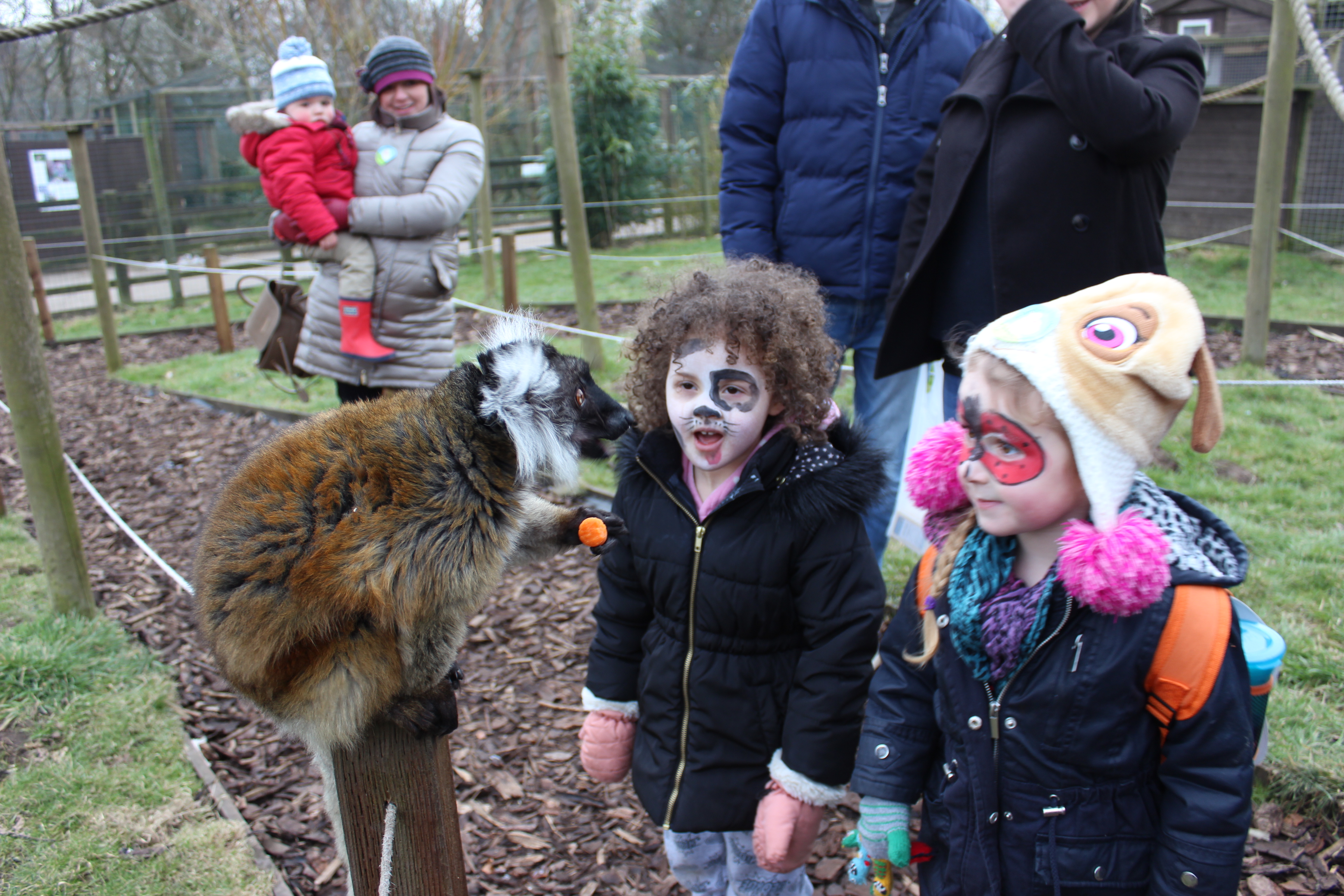 Robin Richards and Bella-Rose Davenport, both 3, Nantwich, Copper the lemur