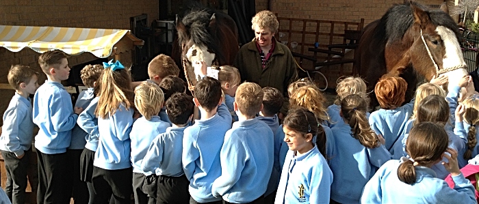 Sarah Ford shows Pear Tree Pupils the beautiful Shire Horses (1)