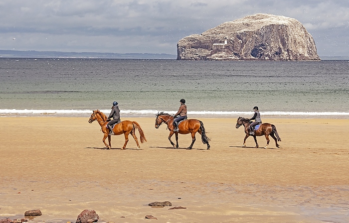 Seacliffe Beach Riders by Brian Sankey (1)