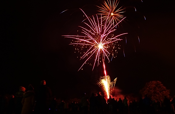 Spectators enjoy the fireworks display (1)