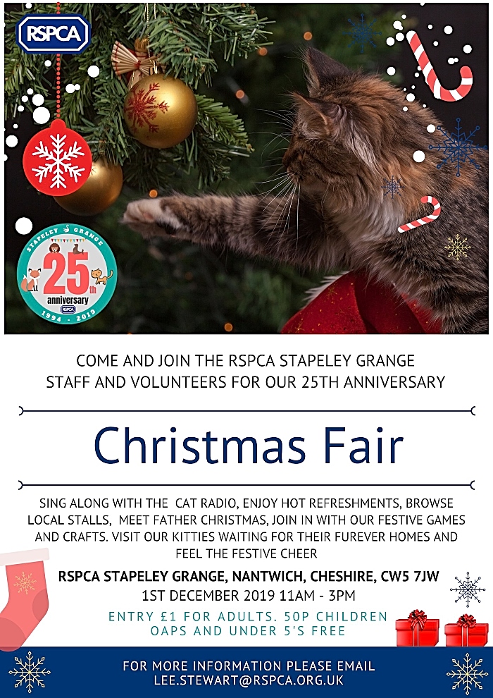 Stapeley Christmas Fair poster (1)