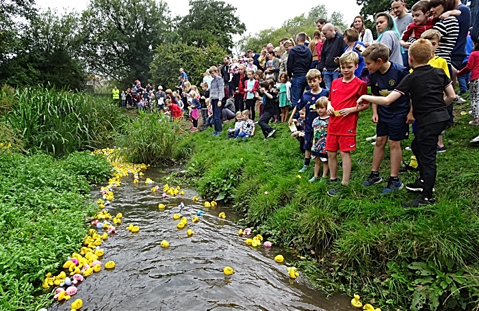 Start of Duck Race 