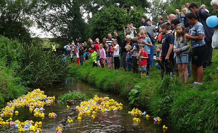 start-of-duck-race-wistaston