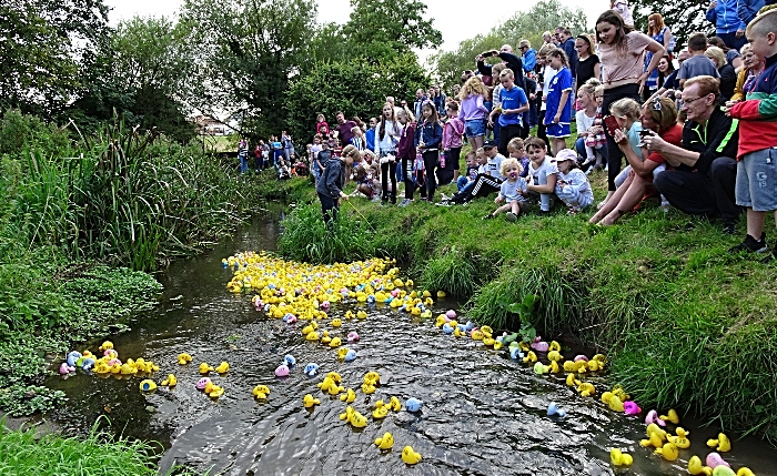 Start of the Ducks Race