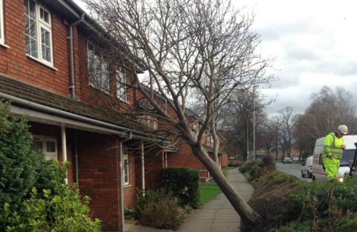 Storm Frank damages homes and trees in Nantwich - picture courtesy of Cheshire Police