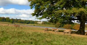 Tatton Park CLOSED and Pride in the Park postponed