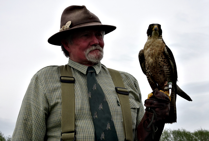 Terry Large Falconry Display (1)