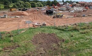 Anger after Wistaston landmark tree ripped up by developers