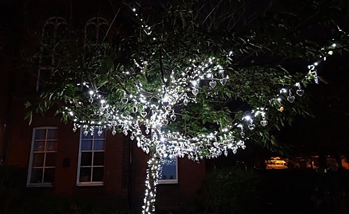 Tree of Light following its illumination (1)