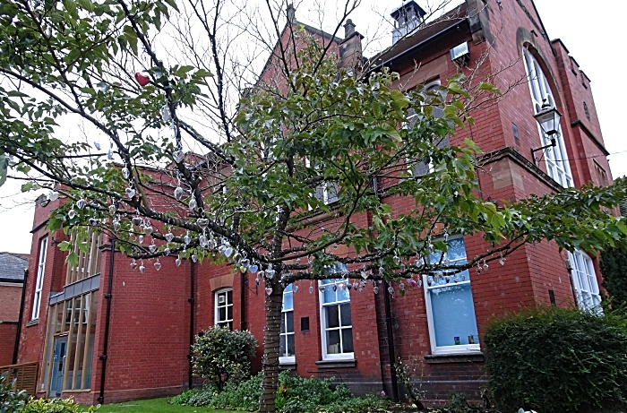 Tree of Light in the daytime with St Marys Parish Rooms in background (1)