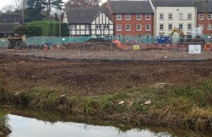 READER’S LETTER: Shocked to see Nantwich trees chopped down