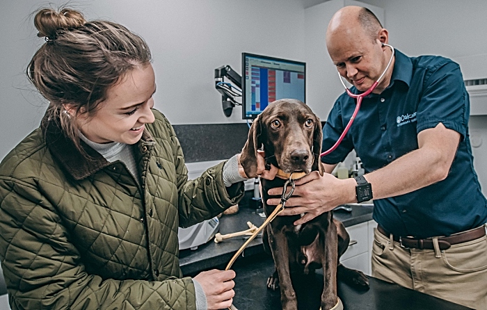 Vet Charlie Sale of Oakwood Vet Referrals checks over Cola with Cola's owner Rebecca Vickers