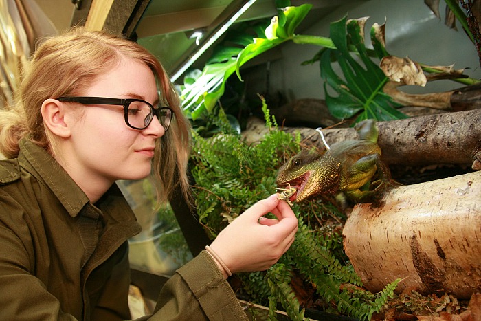 exotic animal warning - Victoria Copson BSC ABW grad with water dragon