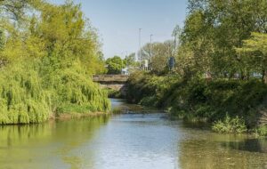 Man rescued from River Weaver after falling off bridge in Nantwich