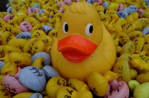 Wistaston “Duck and Model Boat Race” to be staged September 7