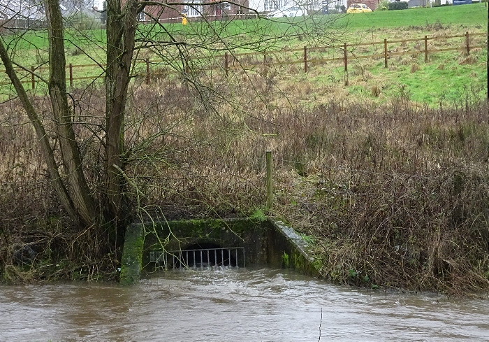 Wistaston - Wistaston Brook - storm drain is dangerously high adjacent to the new Wistaston Brook housing development (1)