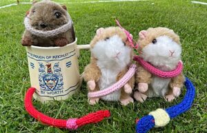 Wistaston Wormer mascots - Squeaker - Pammy - Hammy (1)