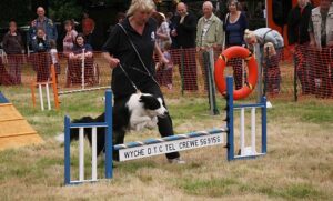 Thousands raised for Nantwich RSPCA wildlife centre