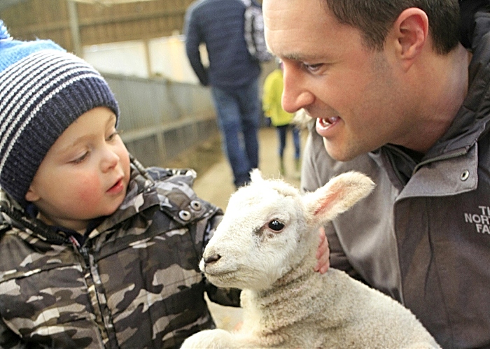 Zach Nichols 2 and Matthew Nichols - lambing