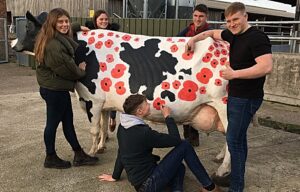 Reaseheath College campus displays Remembrance tributes