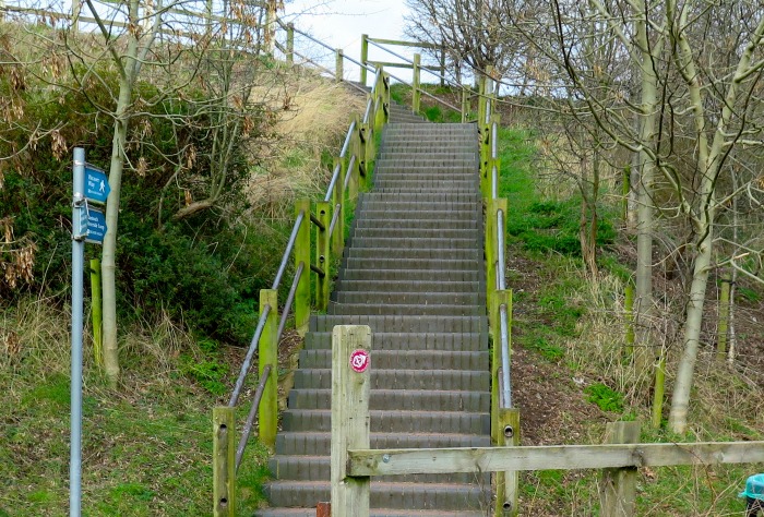 aqueduct steps before painted by volunteers