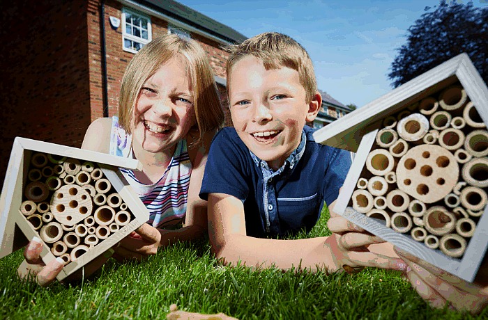 bee population boosted by Stapeley youngsters