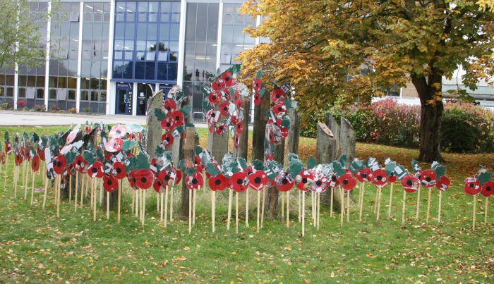 brine leas poppy field