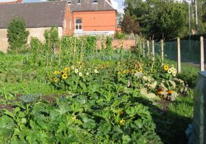 NHS Therapy Garden plans unveiled for Nantwich