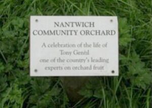 community orchard