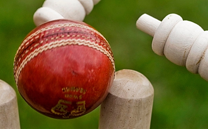 cricket - pic by Graham Dean, creative commons licence