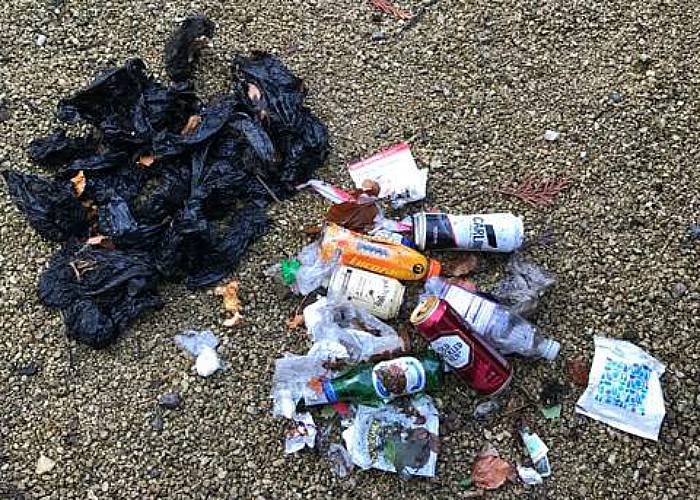 dog poo and litter in one hedge in Nantwich