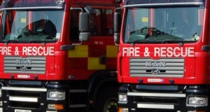 Fire crews and public save cow from River Weaver near Nantwich