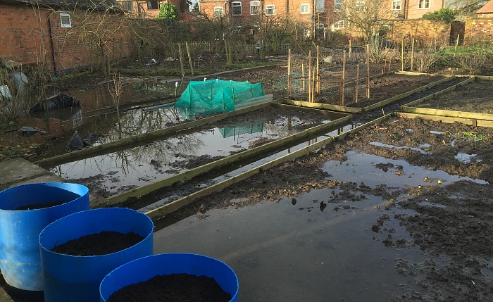 flooded allotments at Brookfield, Nantwich