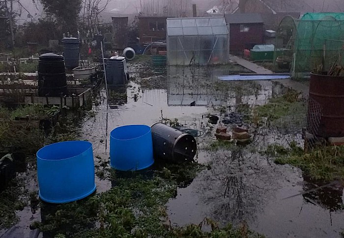 flooded allotment on Brookfield, Nantwich