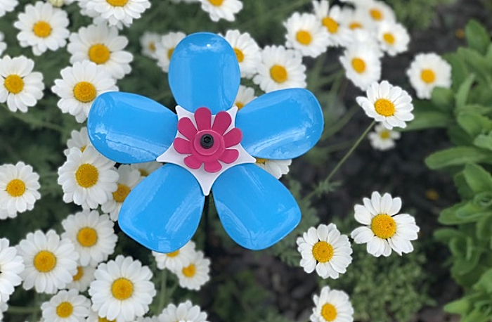 forget me now floral display