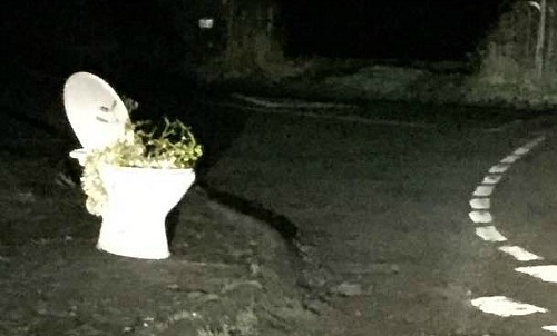 mistletoe and lights on toilet in Swanley