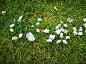 Warning over poisonous food left on River Weaver banks