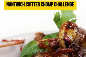 Nantwich Food Festival to stage “Critter Chomp” insect eating challenge