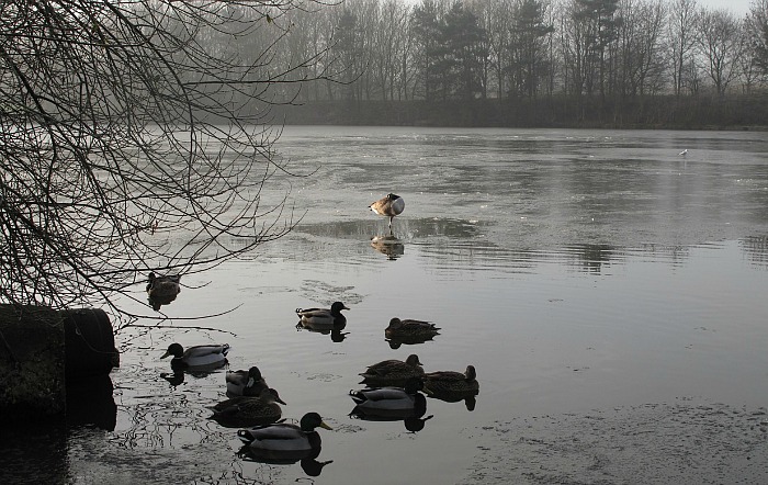 nantwich lake, pic courtesy of Jeff Stubbs