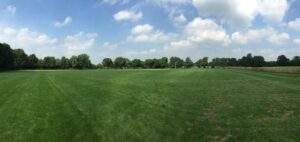 New pitches to be opened for Crewe & Nantwich RUFC at Vagrants