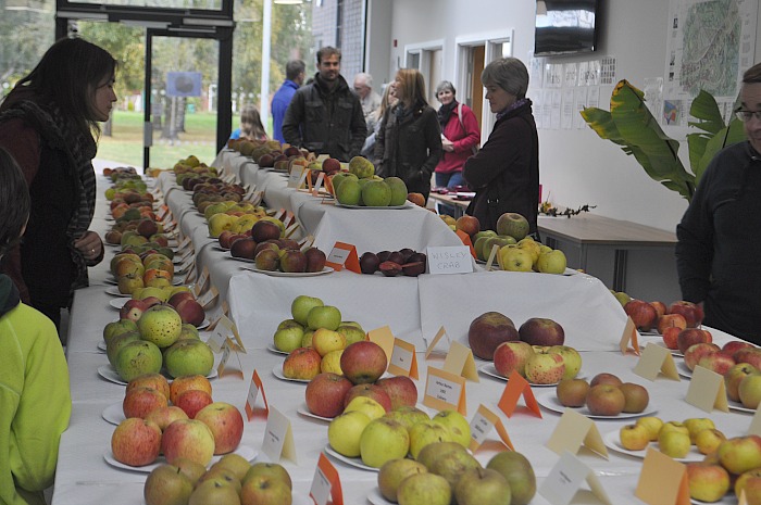 over-100-varieties-of-apples-were-on-show