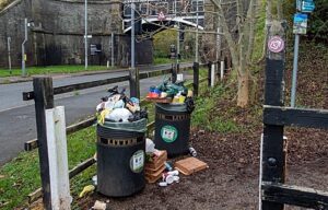 Plea to Nantwich residents to take litter home as bins left overflowing