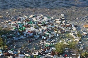 plastic pollution - campaign and talk in Nantwich