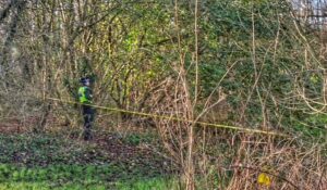 Serious sexual assault on Mill Island, Nantwich – hunt for two men