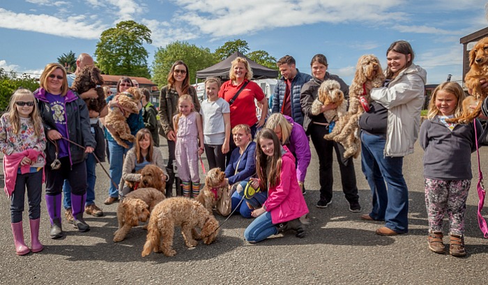 redshift doggy day out nantwich