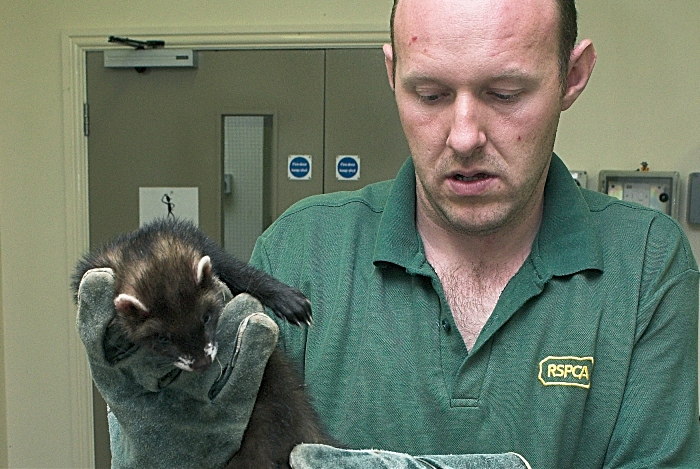 rob scrivens 25 years at RSPCA Stapeley