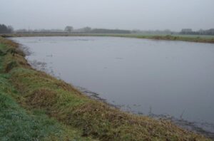 Residents’ joy as slurry lagoon plans for village near Nantwich are ditched